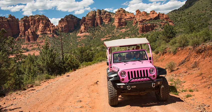Pink Jeep: Scenic Rim [Child]